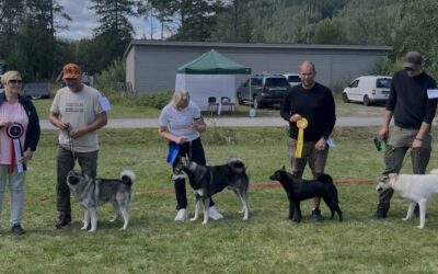 Utstilling Evjemoen 10.08.2025