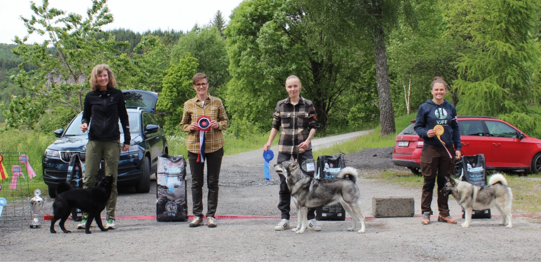 Utstilling Kloster mai 2025