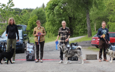 Utstilling Kloster mai 2025