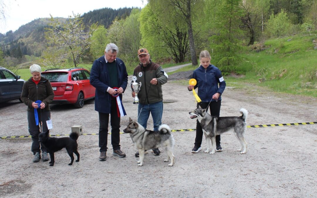 Utstilling Kloster 14. mai 2026